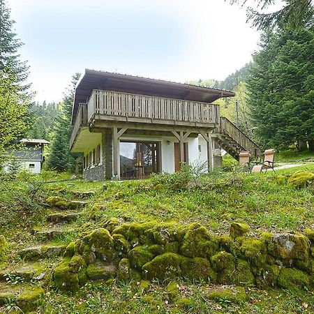 Le Schwarzwald - A Proximite Des Stations De Ski Ла-Бресс Екстер'єр фото